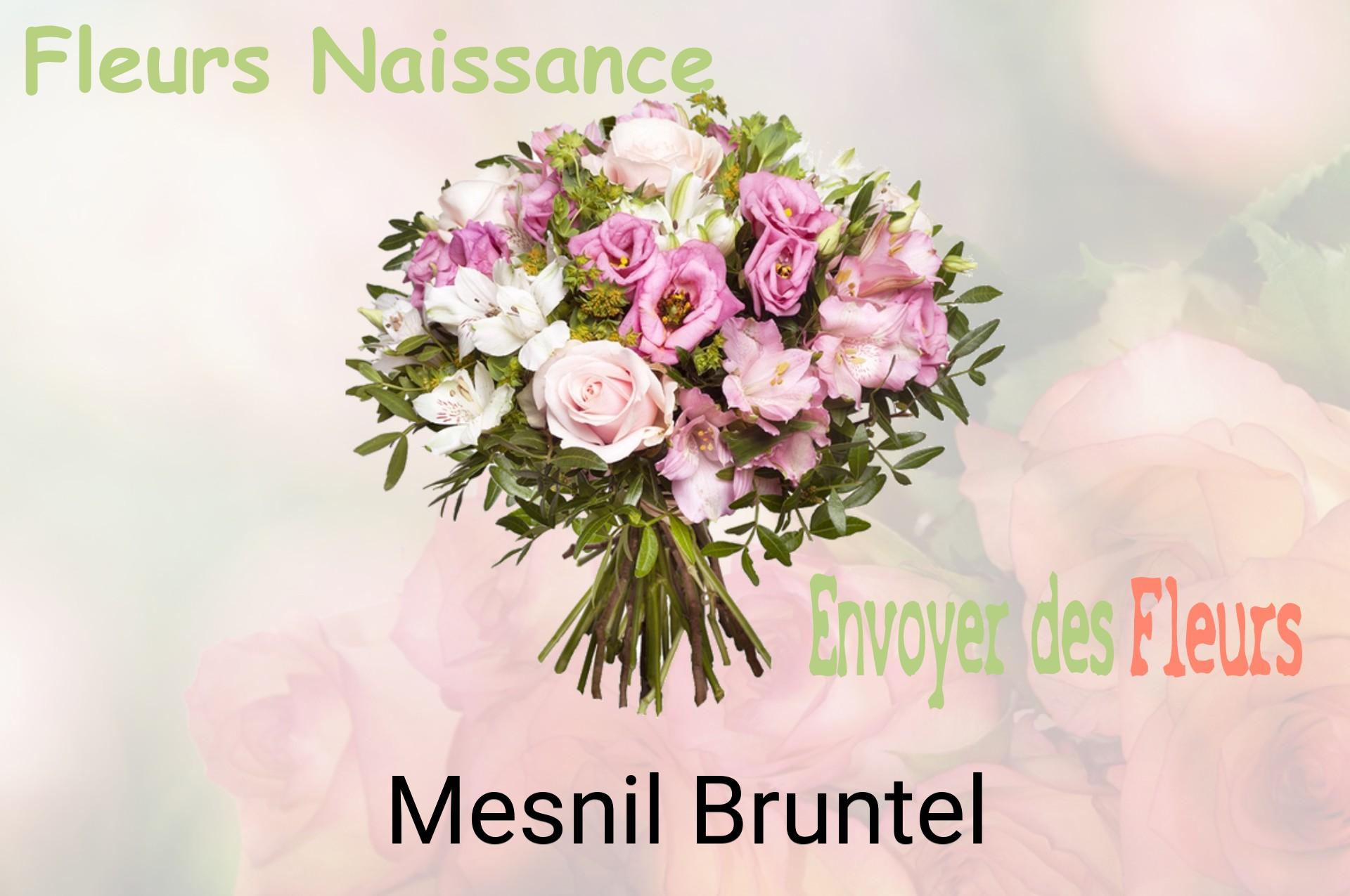 Bouquet de fleurs de naissance livré à Mesnil-Bruntel